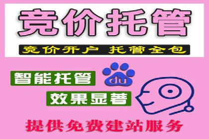 实战解析：百度SEM案例助力企业增长